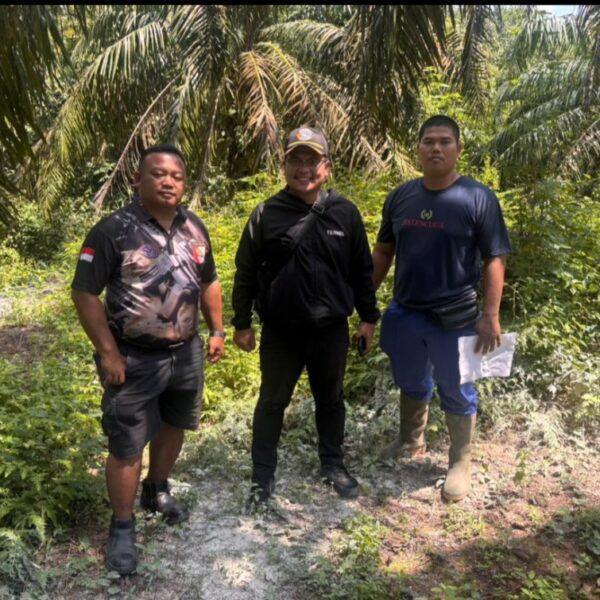 Perkuat Kepastian Hukum Tanah, BPN Labuhanbatu Tinjau Lokasi HGU di NA IX-X